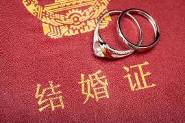 冠县资产调查